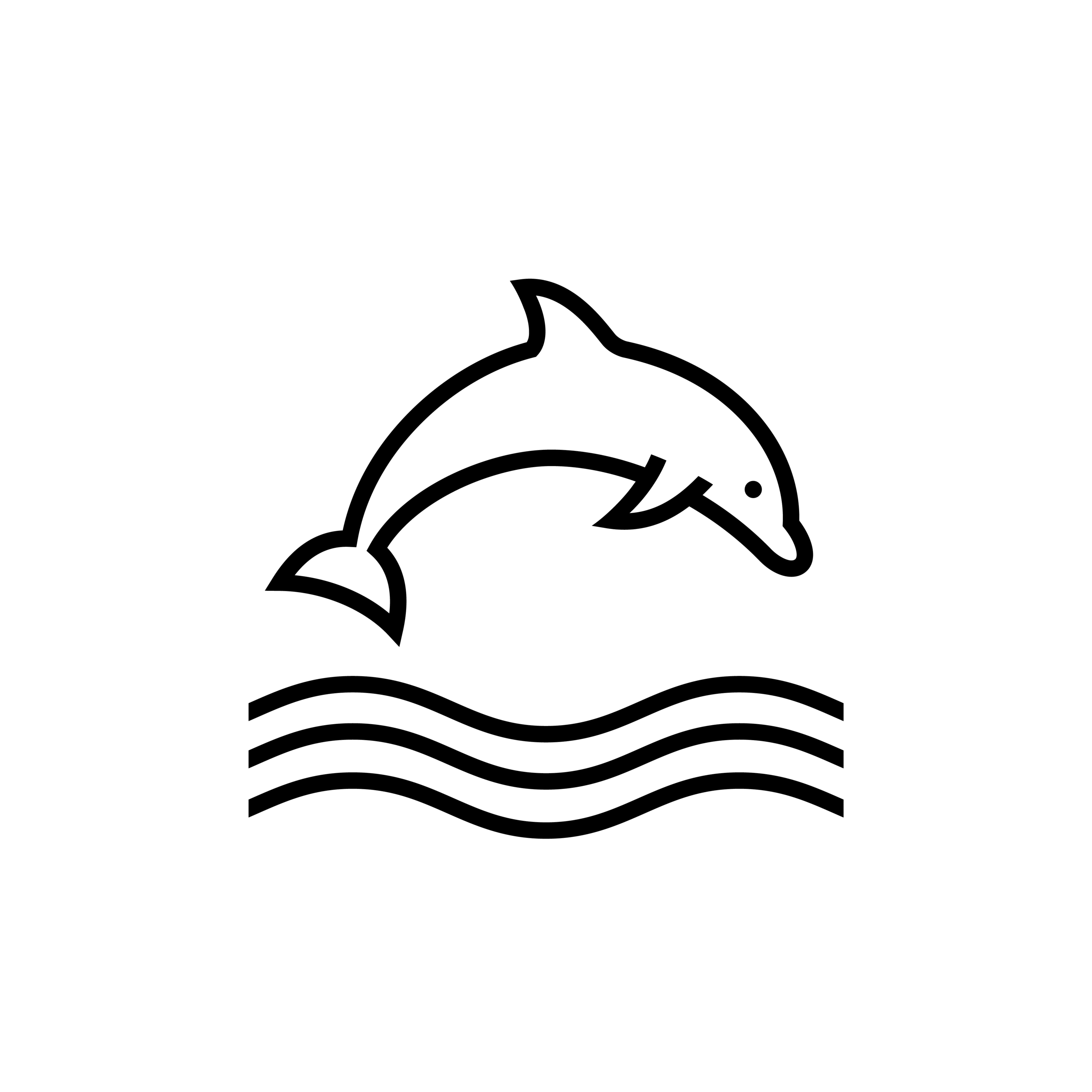 RB icon marine