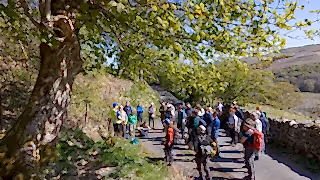 People stood gathered on a lane under a lush green tree at RSPB's Wild Haweswater site.
