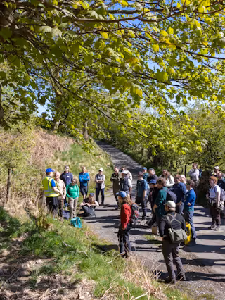 People stood gathered on a lane under a lush green tree at RSPB's Wild Haweswater site.