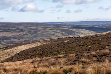 Grouse moor overlooking Thornhill reserve. Denuded banks and top, patches of trees in the lower areas, but very limited. Some sheep grazing and evidence of past fires. Characteristic views, including of Ladybower Reservoir.