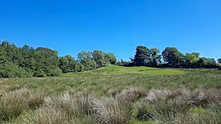 Cefn Garthenor rewilding area