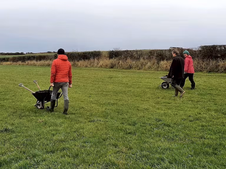 Volunteers walking in a field