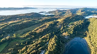 Aerial view of rainforest fragments in Tayvallich, Scotland.