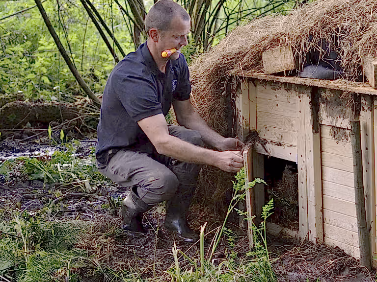 Beaver kennel