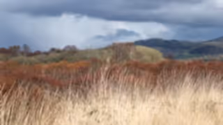 Cors fochno ben porter