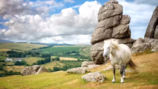 A pony next to a rocky tor on Dartmoor