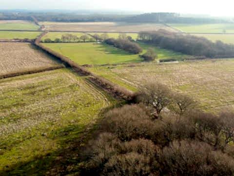 Landscape view of Wild Woodbury Rewilding Project in Bere Regis, Dorset