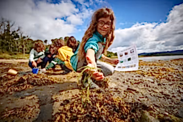Young girl identifying seagrass on a beach