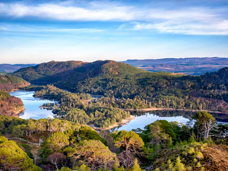 Glen Affric Landscape
