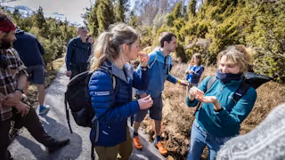 Guided walk