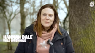 Why Join The Rewilding Network? - Rewilding Britain