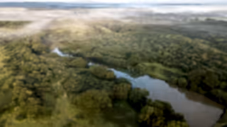 Aerial view of landscape at Knepp