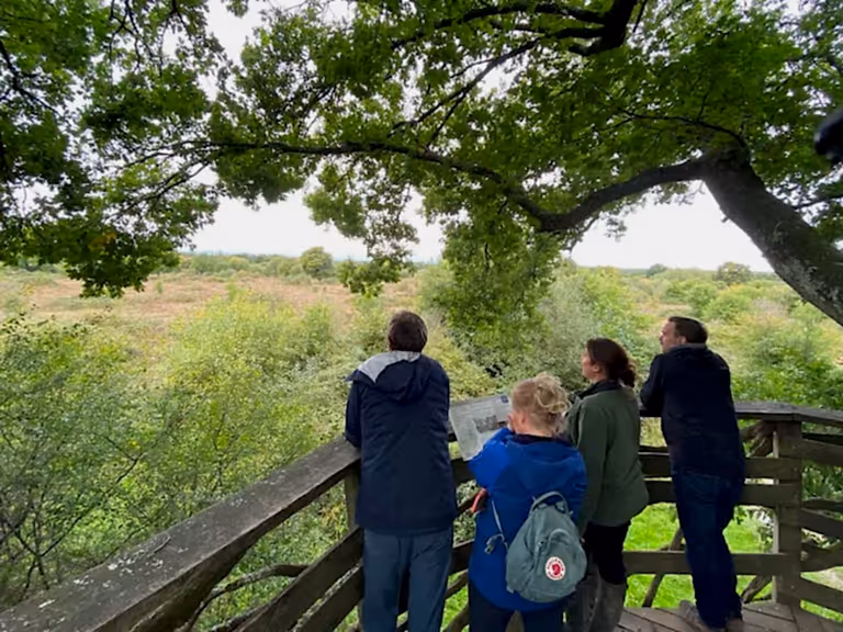 Looking at the views at Knepp