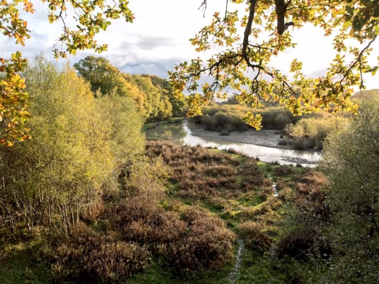 Knepp Wildlands in autumn