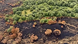 Photo of a landscape which is half burned from a wildfire and half unburnt.