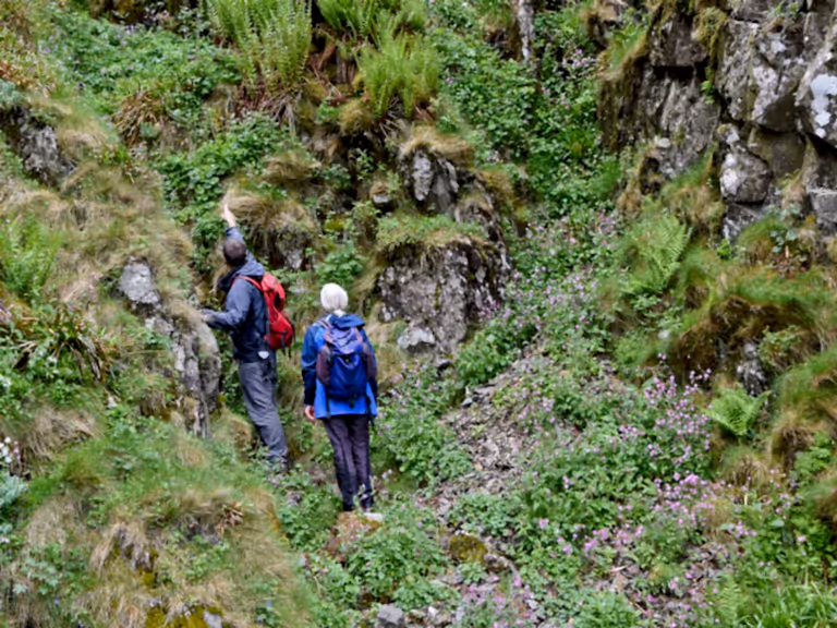 RSPB Haweswater Montane Vegetation Survey
