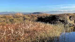 A reprofiled peat hagg and pool and a view towards Inglebrough (includes common cotton grass in the pool) at Kingsdale Head, Yorkshire.