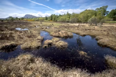 Peatland pool, Bunloit Estate, Inverness-shire.