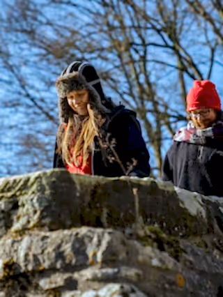 Rewilding network members on bridge