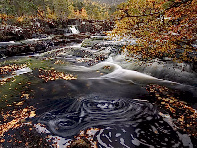 Rewilding water