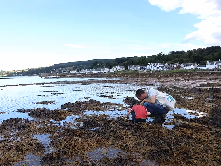 Rockpooling near coast at Isle of Arran