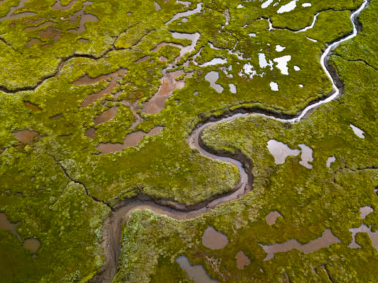 Stiffkey Salt Marshes, Norfolk