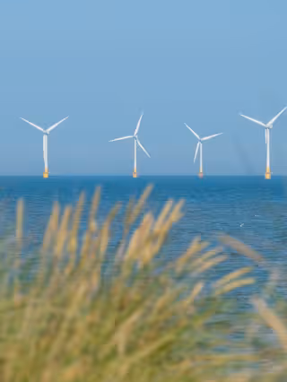 Scroby Sands Wind Farm located in the North Sea off Norfolk coast in the distance, photographed through the grassy sand dunes at Caister on Sea near Great Yarmouth, Norfolk UK.