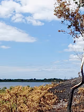 Studland heath fire