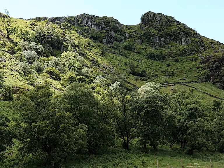 Swindale haweswater natural regeneration