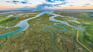 Tollesbury marshes