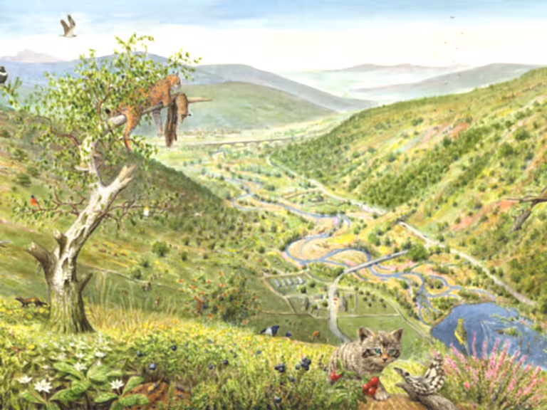 Uplands future