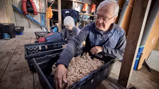 Seawilding volunteers processing seagrass seed and filling hessian bags with sand