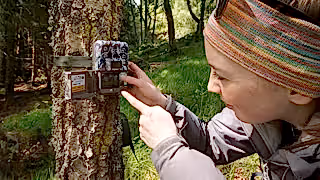 Wildlife recording in Bunloit Estate