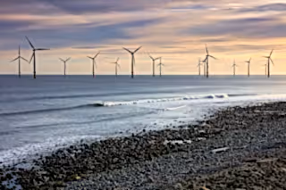 Webinar: Wind power and wilder seas: redefining the Britain’s green industrial revolution