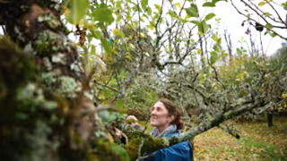 Young woman looking at tree.